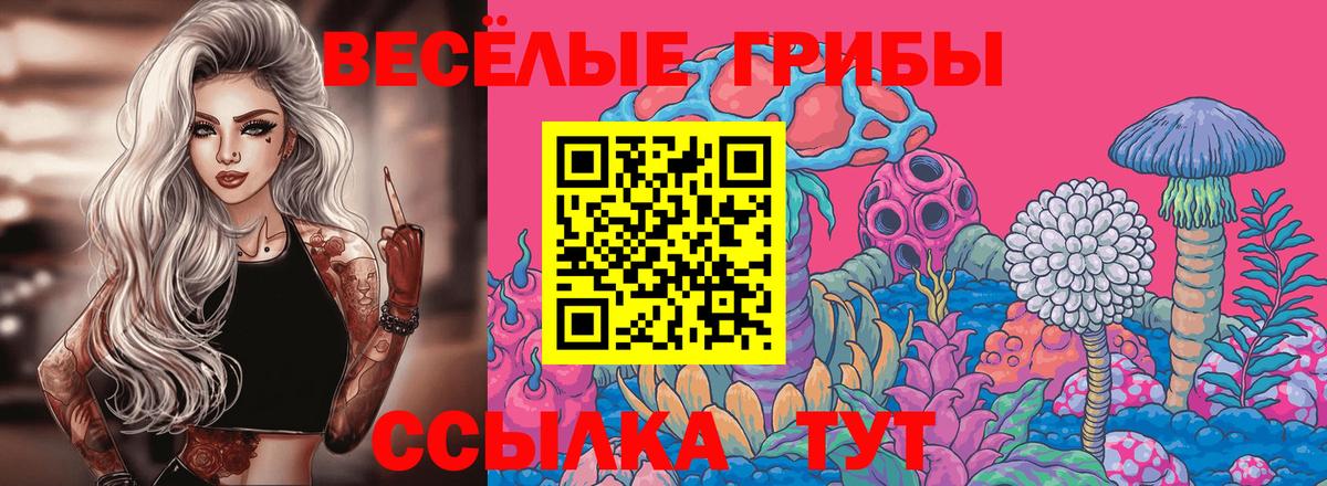 Псилоцибиновые грибы Magic Shrooms Кимовск