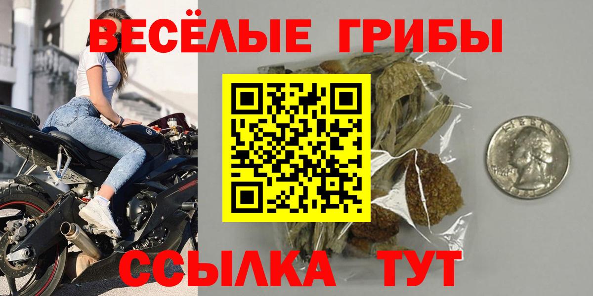 Галлюциногенные грибы ЛСД  Галлюциногенные грибы прущие грибы  где купить   Вход с VPN  Кимовск 